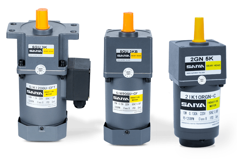 Micro AC Motors