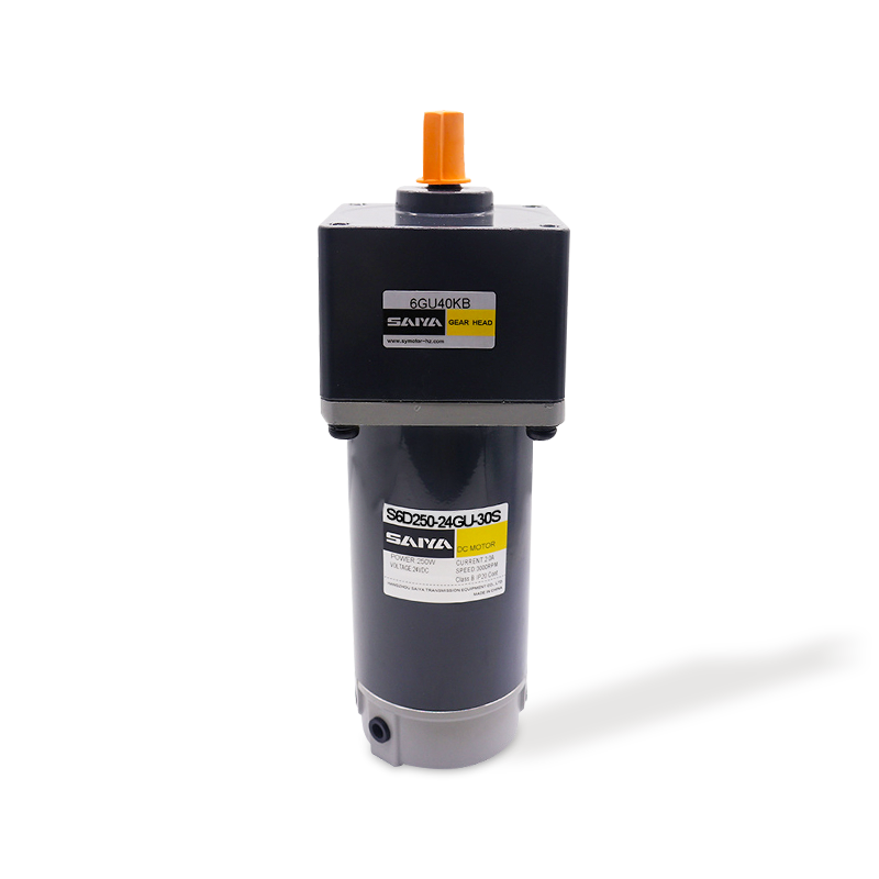 250W Peniculus DC Motors
